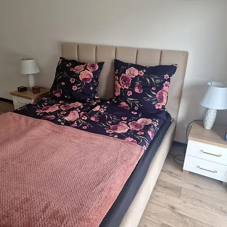 Apartament Sloneczny Taras Nad Barycza Milicz Exterior foto
